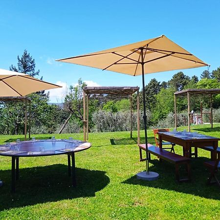 Agriturismo Da Nonna Argia Massa e Cozzile Buitenkant foto