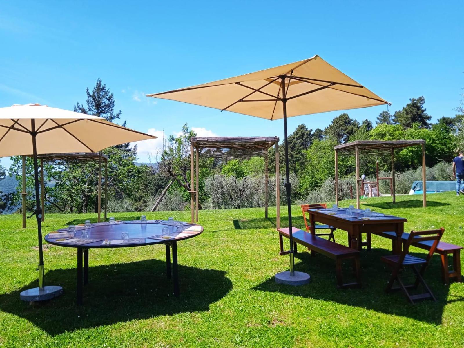 Agriturismo Da Nonna Argia Massa e Cozzile Buitenkant foto