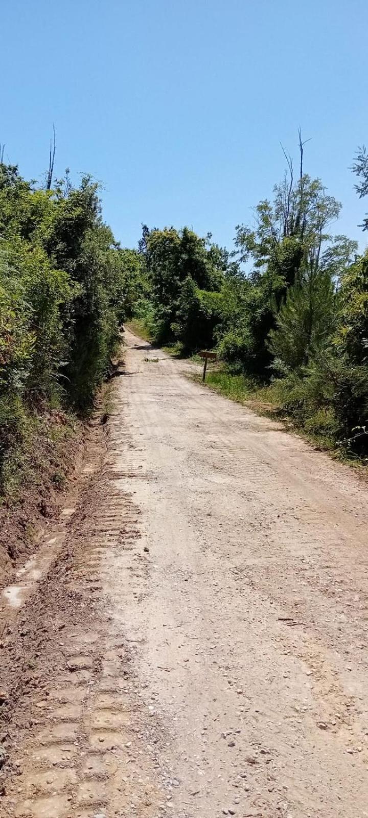 Agriturismo Da Nonna Argia Massa e Cozzile Buitenkant foto