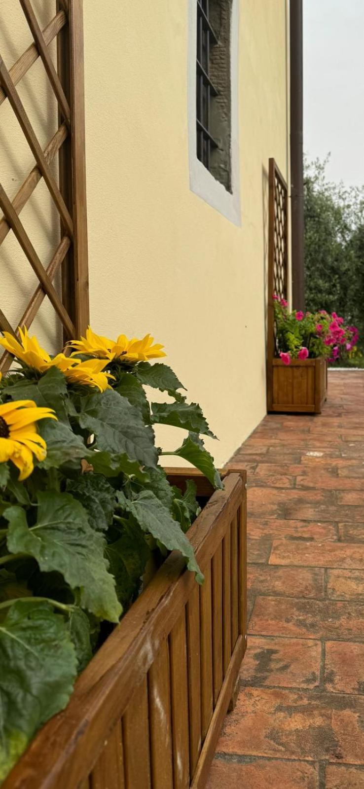 Agriturismo Da Nonna Argia Massa e Cozzile Buitenkant foto