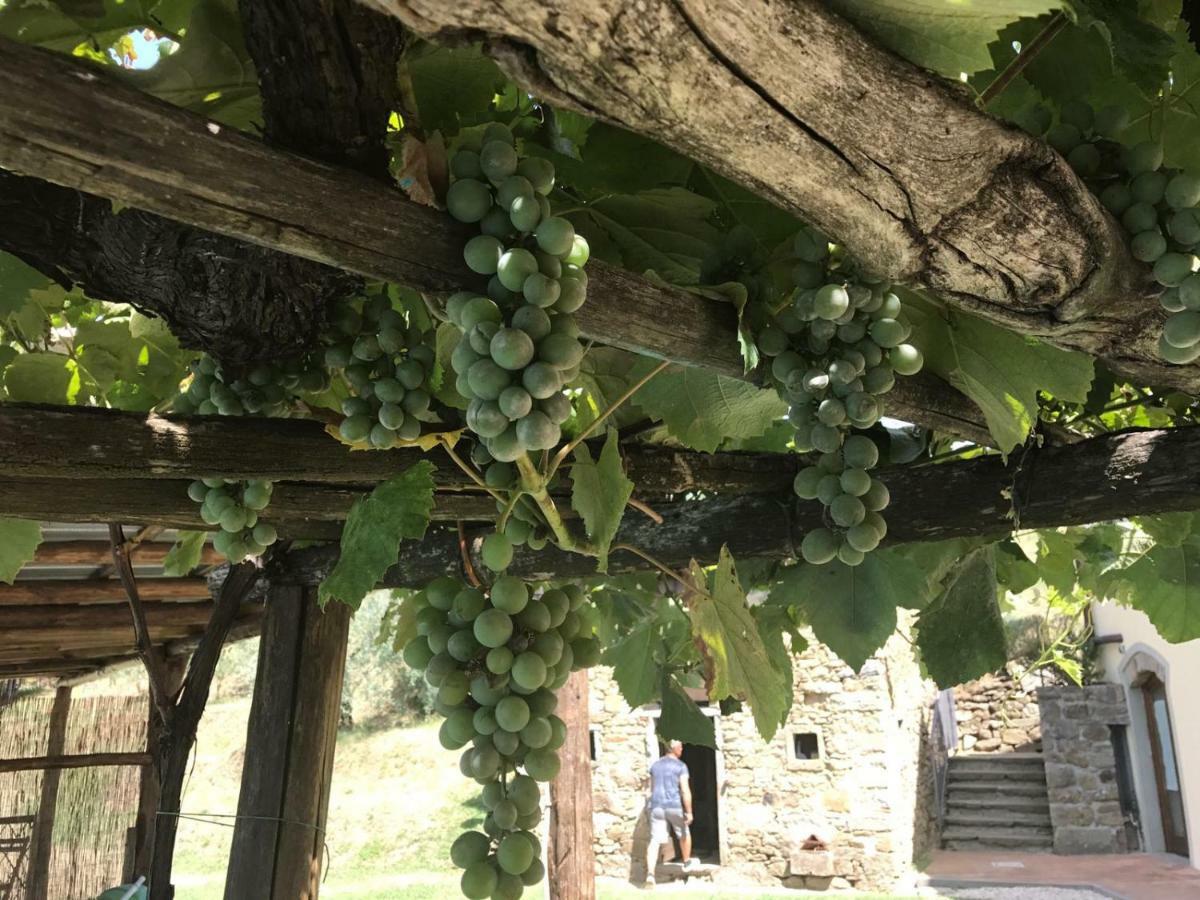 Agriturismo Da Nonna Argia Massa e Cozzile Buitenkant foto